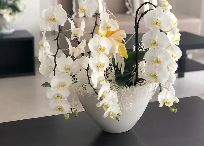 Carmen 2* ריצ'יונה